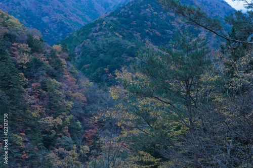 秋の井川   © sunnysunny