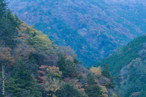 秋の井川   © sunnysunny