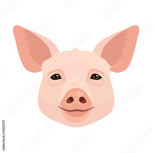 Vector young pig face icon