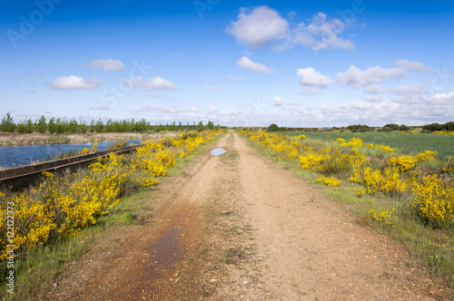 Flowering dirt road in an agricultural landscape in the plain of the River Esla, in Leon Province, Spain
