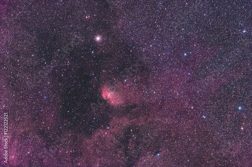 Fototapeta Naklejka Na Ścianę i Meble -  Tulpennebel / Tulip Nebula
