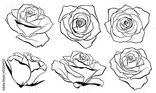 Vector set of detailed, isolated outline Rose bud sketches in black colour. Vector illustration for design on white background.