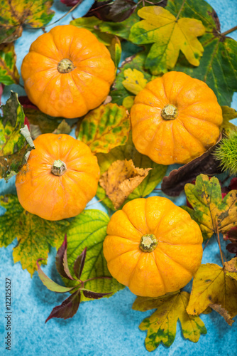 Autumnal colorful vibrant background