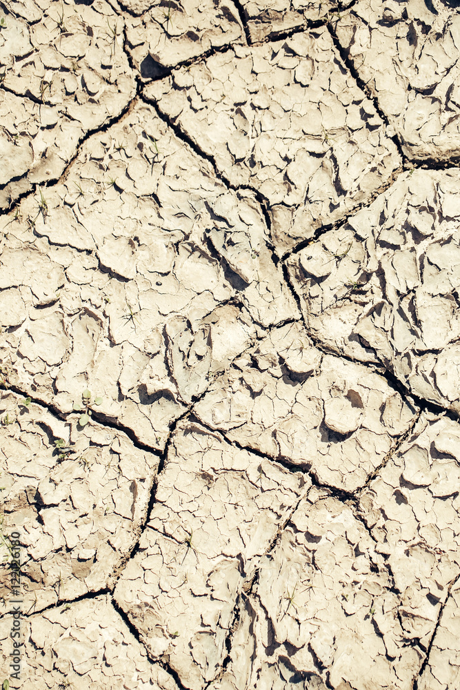 Dry soil with cracked surface Dry soil with cracked surface