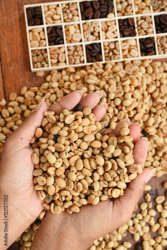 Close up of coffee beans on hand