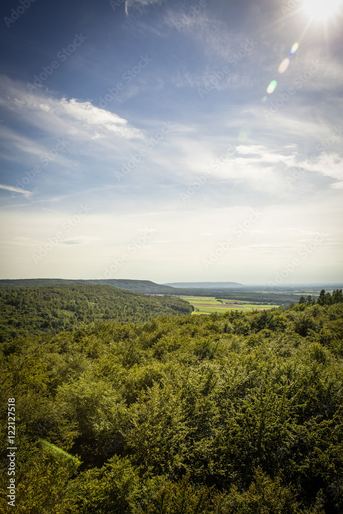 Baumwipfelpfad / tree top path ecosystem