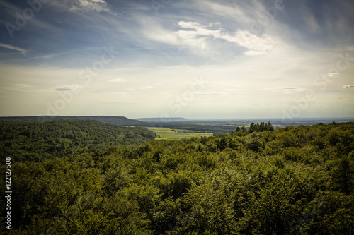 Baumwipfelpfad / tree top path ecosystem