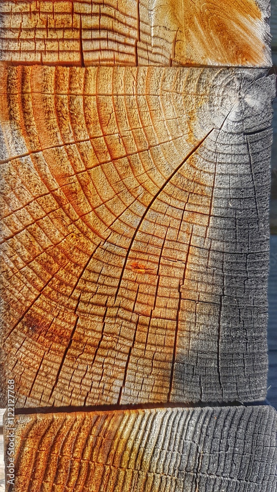 Fototapeta premium helle Holztextur 