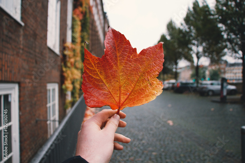 Photography Autumn leaf
