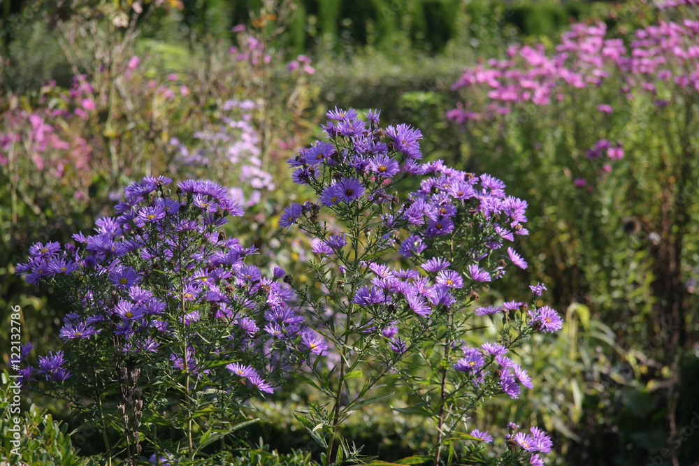 bunter Herbstgarten