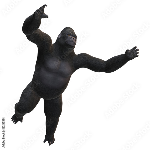 3D Rendering Gorilla on White