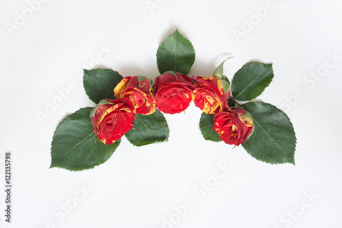 Yellow and red roses are laid out in a semicircle on background
