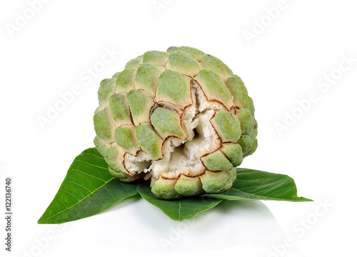 Fresh Custard Apple isolated on white background photo