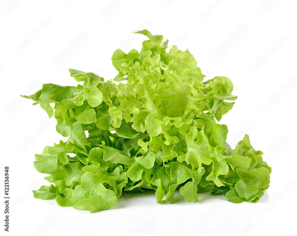 Lettuce isolated on white background Lettuce isolated on white background
