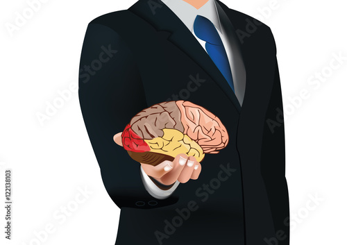 offerta cervello