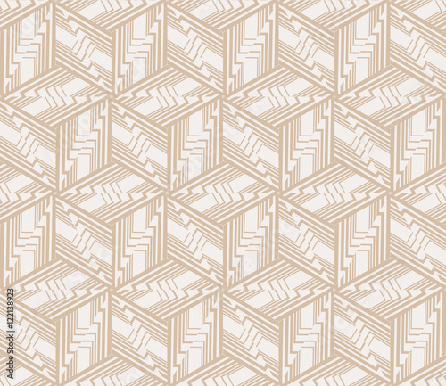 Abstract vector illustration with intricate geometric patterns