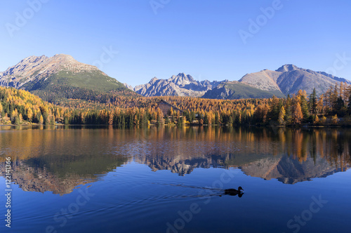 Wonderful view of the lake in the autumn