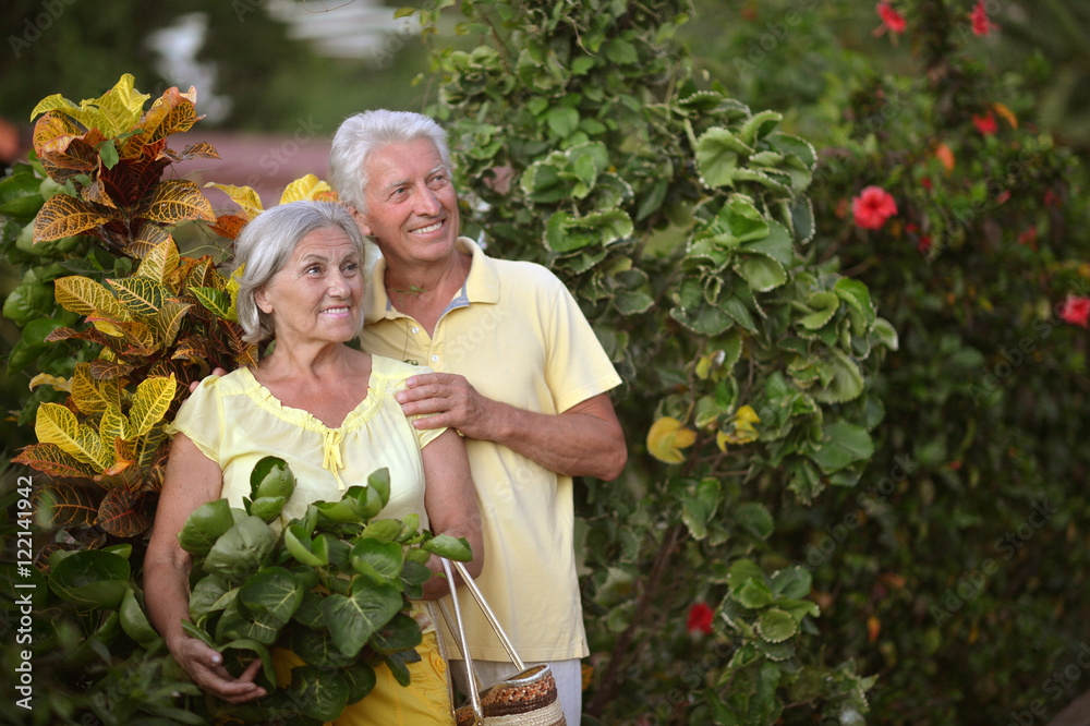 Elderly couple in tropical garden Elderly couple in tropical garden