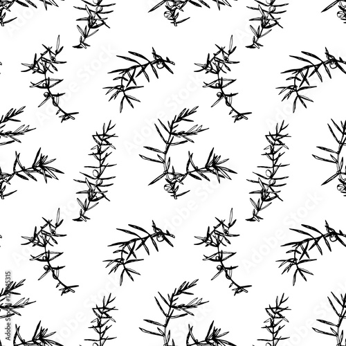 Seamless pattern with juniper brunches