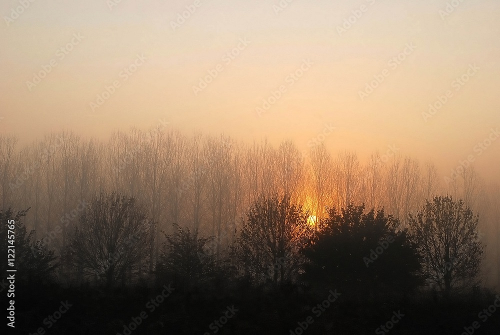 Obraz premium Aurore