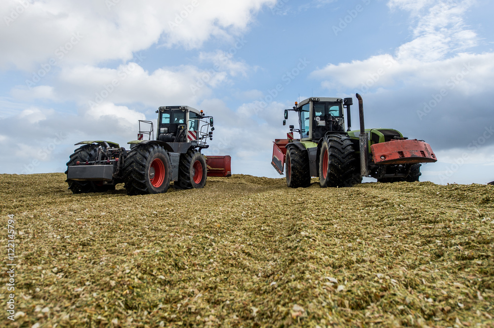 Obraz premium Maisernte - Silage verdichten