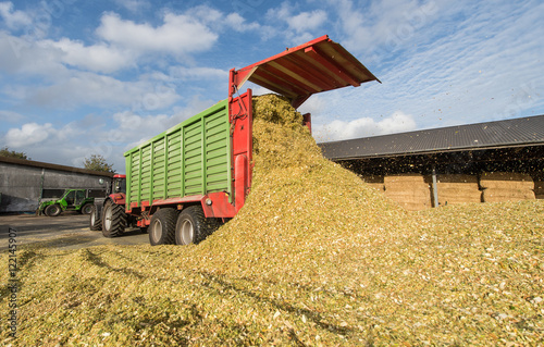 Maisernte - Silage verdichten