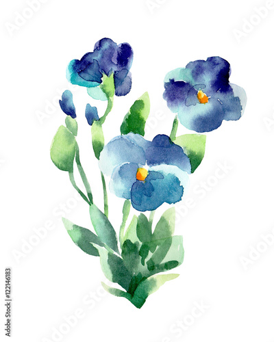 Watercolor illustration of a violets on a white background.