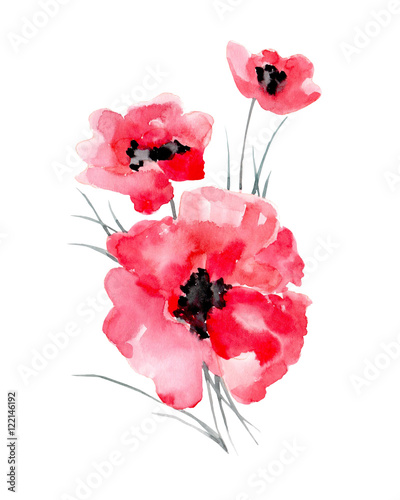 Watercolor illustration of a poppy on a white background.