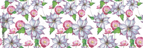Wildflower clematis flower pattern in a watercolor style isolated. Full name of the plant: clematis, wisteria. Aquarelle flower could be used for background, texture, pattern, frame or border. 
