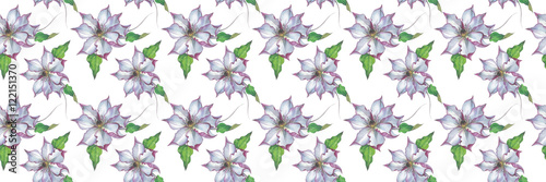 Wildflower clematis flower pattern in a watercolor style isolated. Full name of the plant  clematis  wisteria. Aquarelle flower could be used for background  texture  pattern  frame or border.