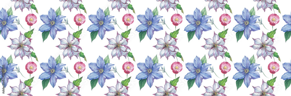 Wildflower clematis flower pattern in a watercolor style isolated. Full name of the plant: clematis, wisteria. Aquarelle flower could be used for background, texture, pattern, frame or border. Wildflower clematis flower pattern in a watercolor style isolated. Full name of the plant: clematis, wisteria. Aquarelle flower could be used for background, texture, pattern, frame or border.