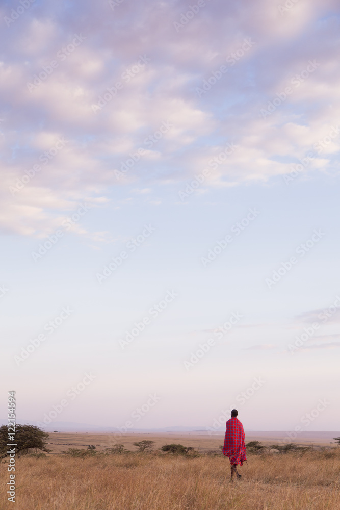 Maasai man walking on the savannah at sunset in Kenya