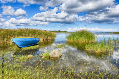 Blue boat on the shore of the lake in the tall grass