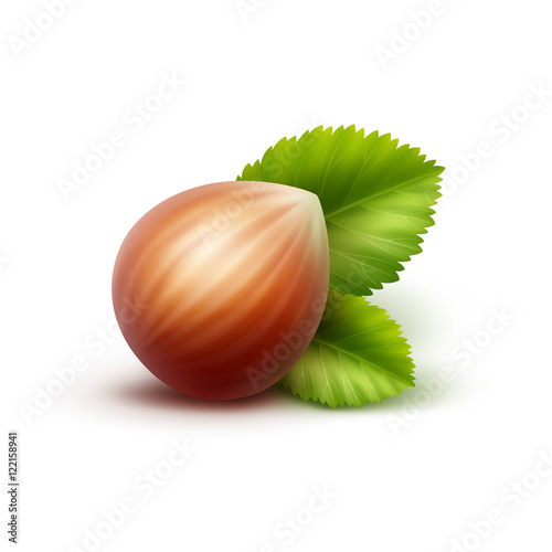 Full Unpeeled Hazelnut with Leaves Isolated on White Background