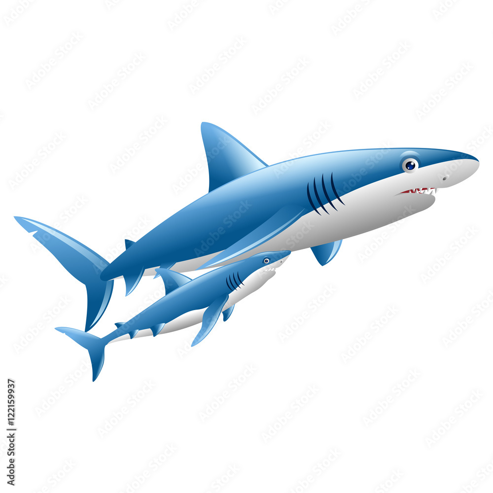 Fototapeta premium a pair of cute white shark