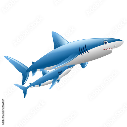 Wallpaper Mural a pair of cute white shark Torontodigital.ca