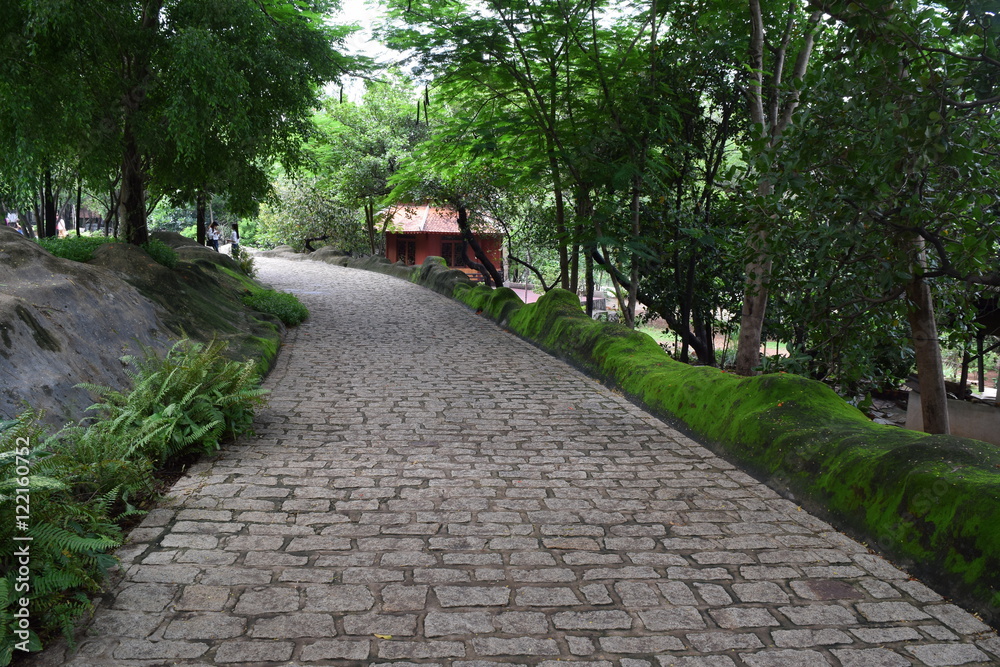 road in the park for  pedestrian