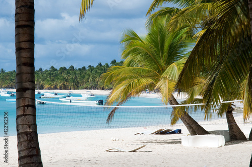 beach with palm trees