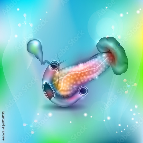 Pancreas and surrounding organs, gallbladder, small intestine and spleen detailed illustration on a beautiful abstract background. 