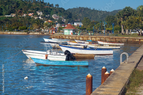 boats in the harbour