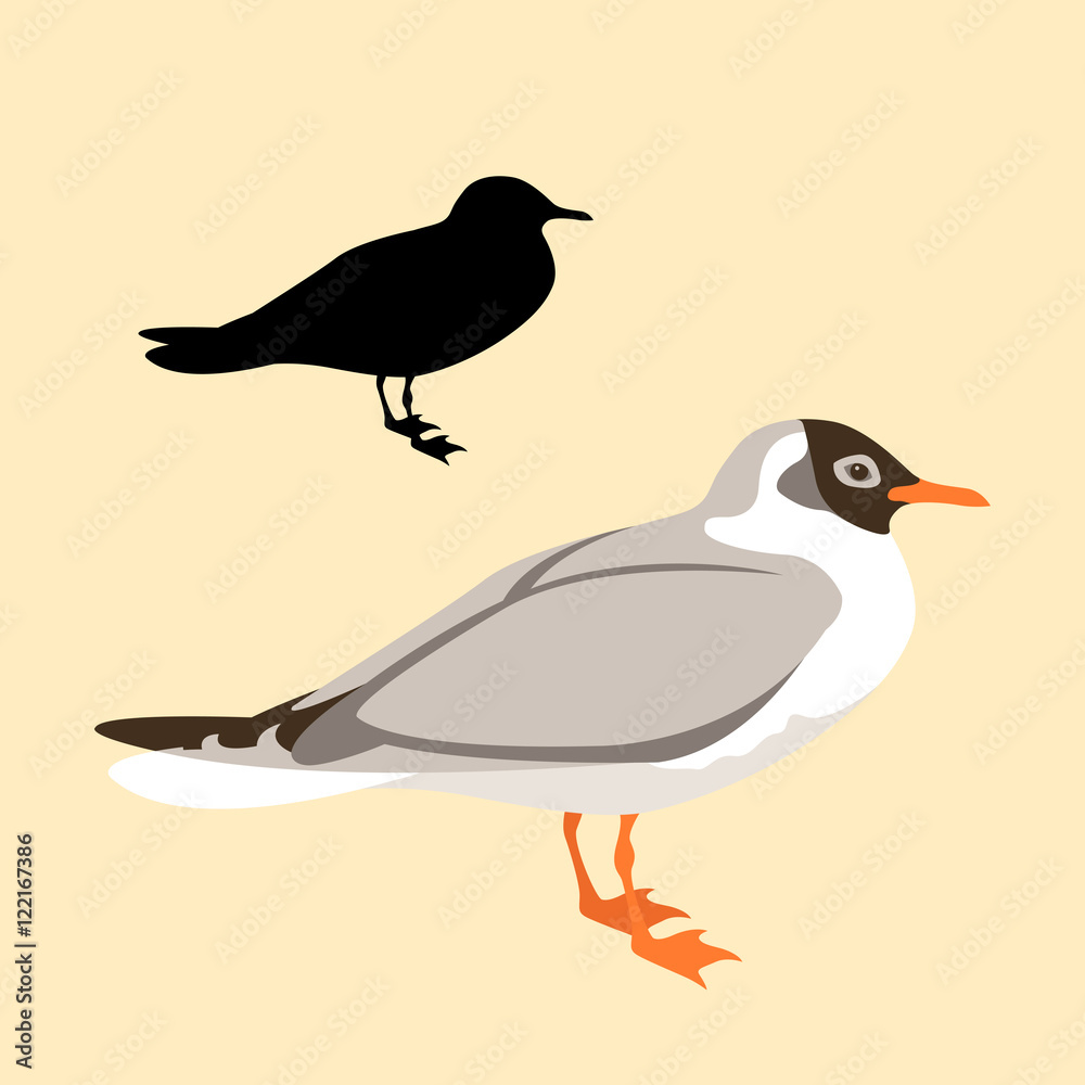 Obraz premium Bird seagull vector illustration black silhouette style Flat