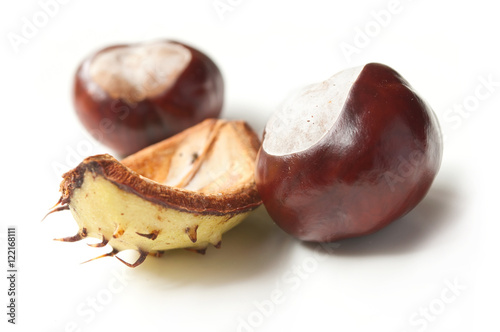 marrons sur fond blanc - fruit du marronnier d'inde - Aesculus hippocastanum photo