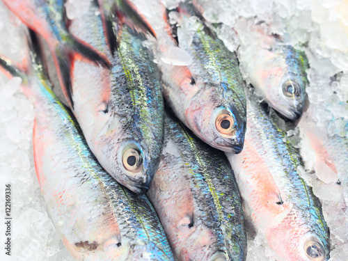 Fresh raw mullet fish on ice at fish market