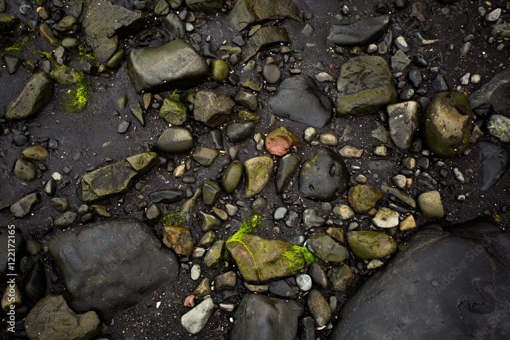 Black sand with stones and seaweed background. Iceland Black sand with stones and seaweed background. Iceland