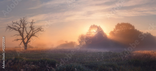 Autumn landscape with mist and sunbeams