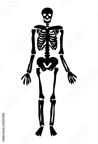 halloween skeleton vector symbol icon design.