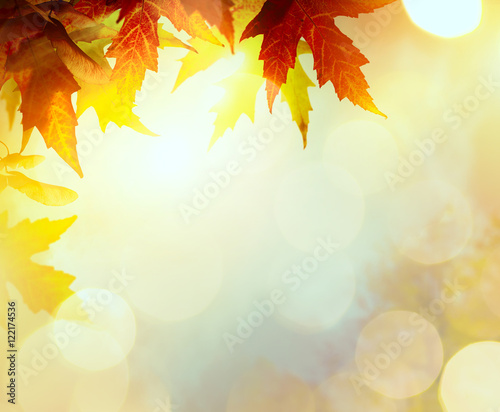 abstract nature autumn Background with yellow leaves