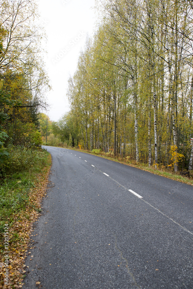 Wet and slippery asphalt road. Curves ahead. Fallen leaves on the ground.