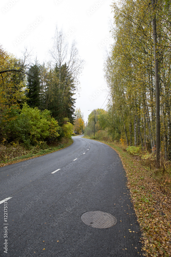 Fototapeta premium Wet and slippery asphalt road. Curves ahead. Fallen leaves on the ground.