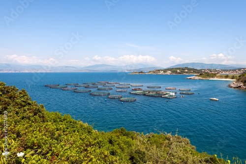 Fototapeta Naklejka Na Ścianę i Meble -  Fish farming near Kassiopi town. Corfu Island. Greece.